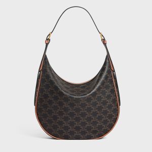 Celine Medium Heloise Bag in Triomphe Canvas Brown