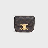 Celine Mini Claude Bag in Triomphe Canvas Brown